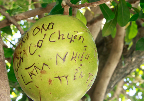 Hay[-]đi[-]xuất[-]ngoại,[-]trúng[-]cá[-]độ[-]bóng[-]đá,[-]làm[-]được[-]nhiều[-]tiền...